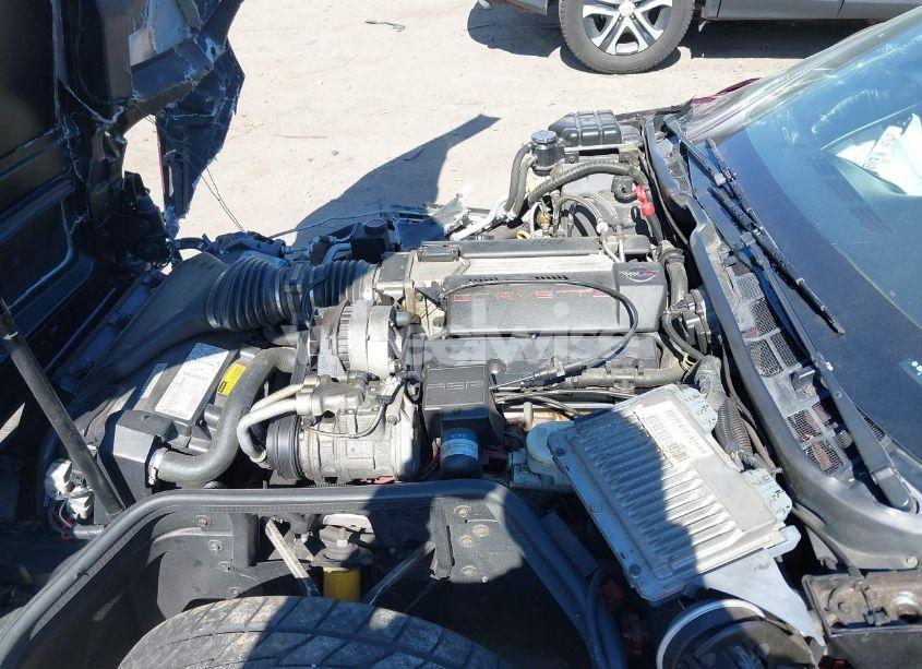 Photo 10 of 1996 Chevrolet Corvette N/A (VIN 1G1YY22P9T5105279)