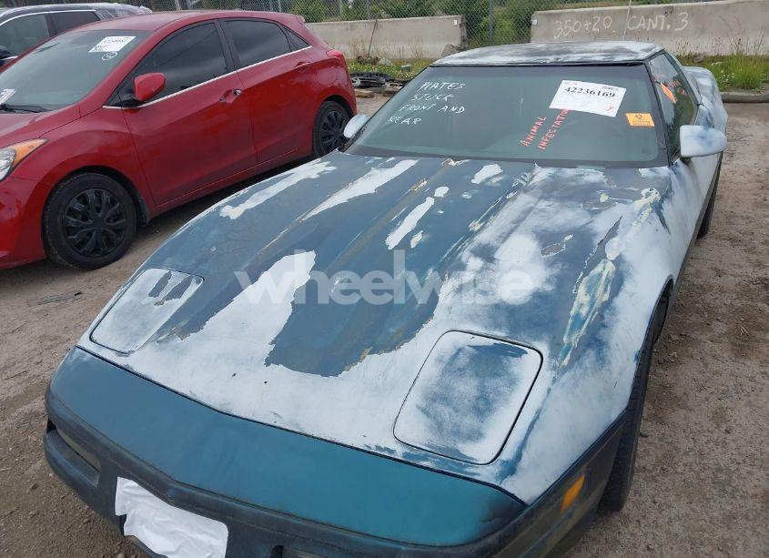 Photo 10 of 1991 Chevrolet Corvette (VIN 1G1YY2385M5108835)