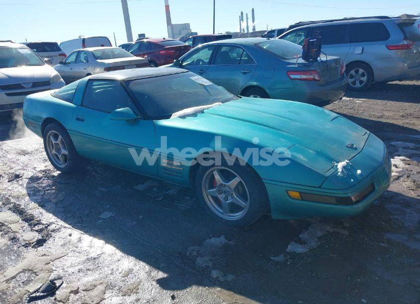 1991 Chevrolet Corvette (VIN 1G1YY2389M5103654) main photo