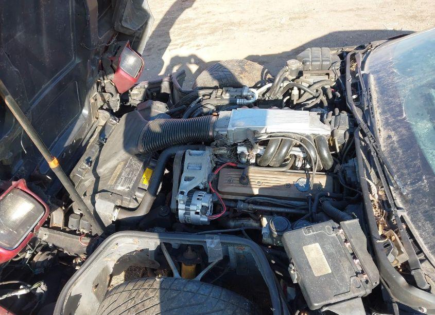 Photo 10 of 1991 Chevrolet Corvette (VIN 1G1YY238XM5114310)