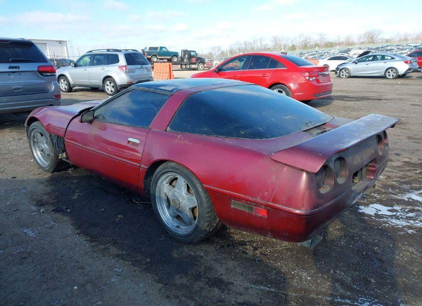 Photo 3 of 1991 Chevrolet Corvette (VIN 1G1YY238XM5114310)