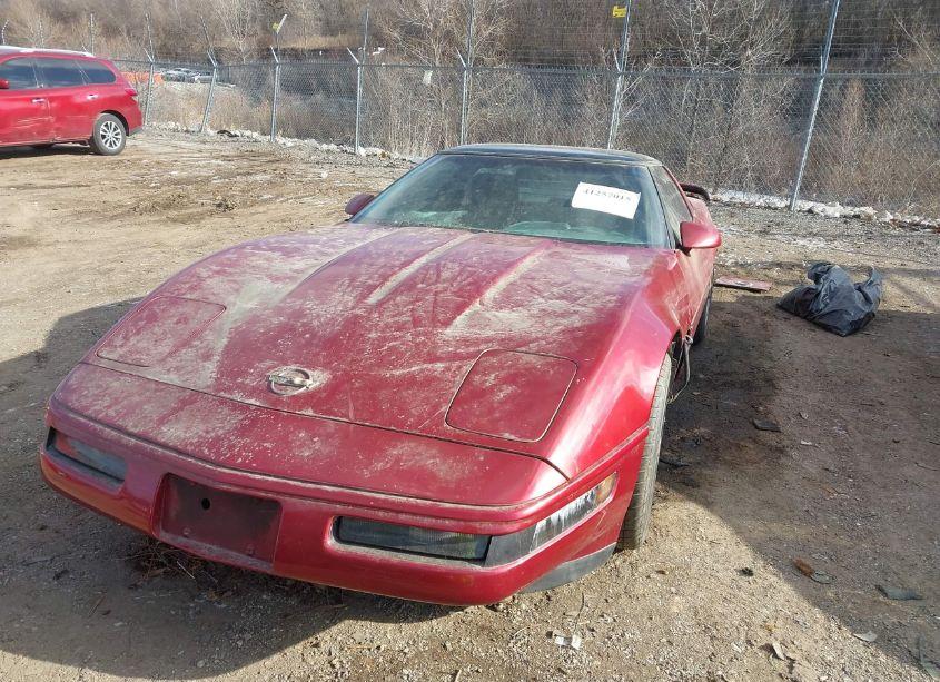 Photo 6 of 1991 Chevrolet Corvette (VIN 1G1YY238XM5114310)