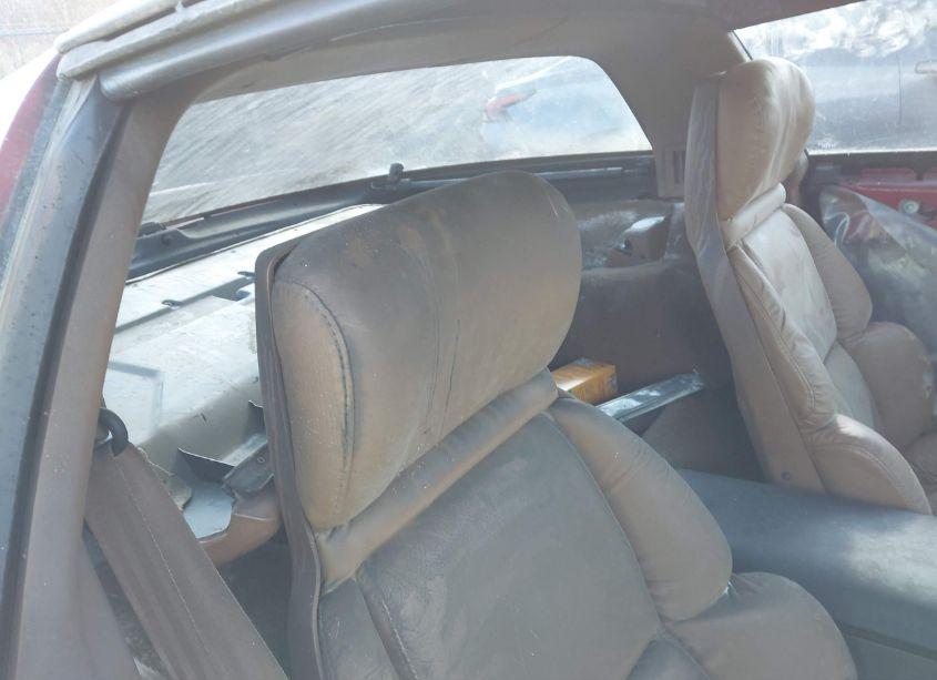 Photo 8 of 1991 Chevrolet Corvette (VIN 1G1YY238XM5114310)