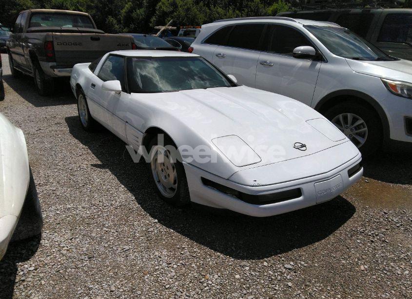 1993 Chevrolet Corvette (VIN 1G1YY23P0P5116854) main photo