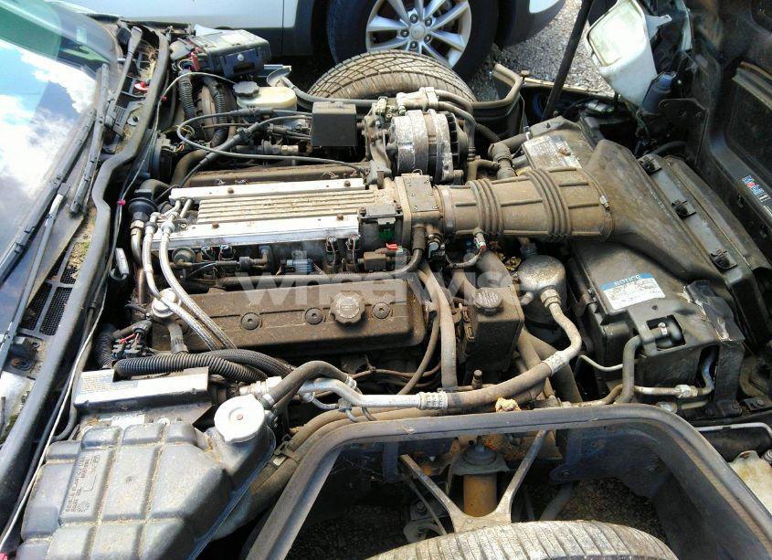 Photo 10 of 1993 Chevrolet Corvette (VIN 1G1YY23P0P5116854)