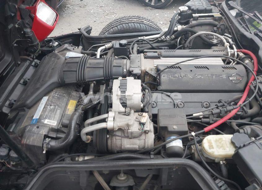 Photo 10 of 1993 Chevrolet Corvette (VIN 1G1YY23P1P5109881)