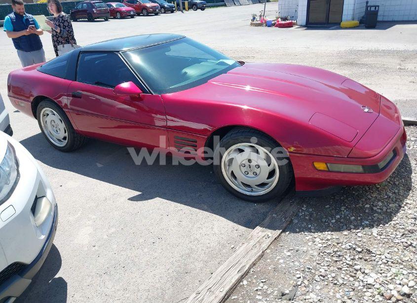1992 Chevrolet Corvette (VIN 1G1YY23P4N5102033) main photo