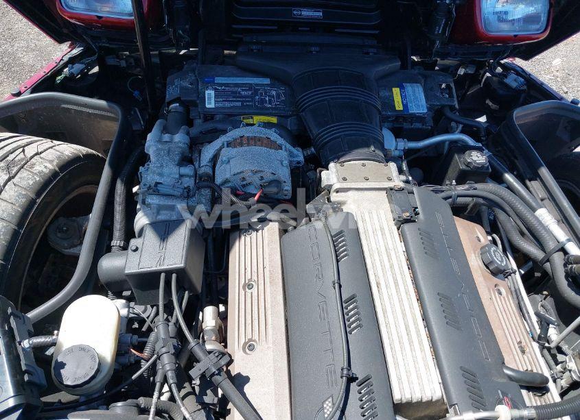 Photo 10 of 1992 Chevrolet Corvette (VIN 1G1YY23P4N5102033)