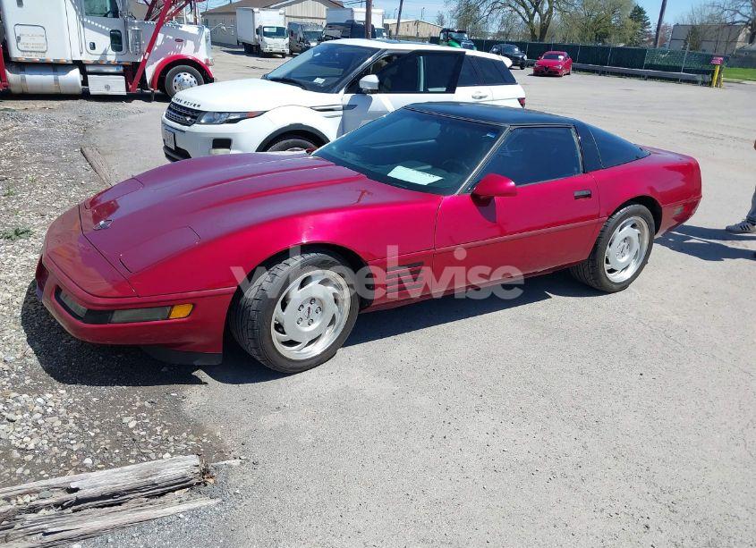 Photo 2 of 1992 Chevrolet Corvette (VIN 1G1YY23P4N5102033)