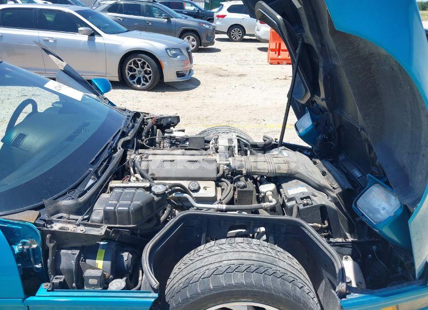 Photo 10 of 1992 Chevrolet Corvette (VIN 1G1YY23P6N5111770)