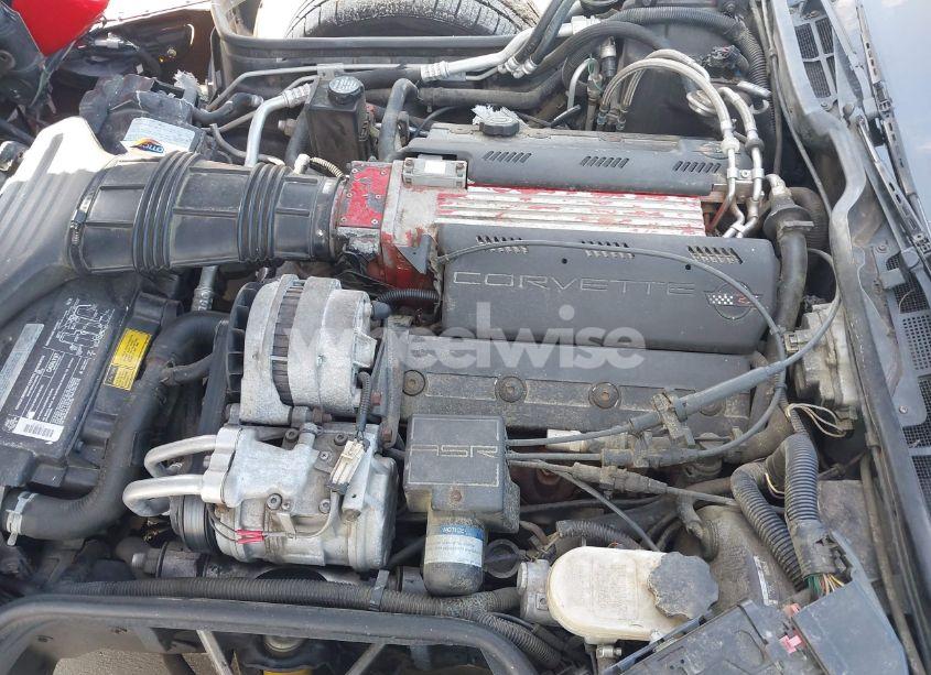 Photo 10 of 1993 Chevrolet Corvette (VIN 1G1YY23P8P5119386)