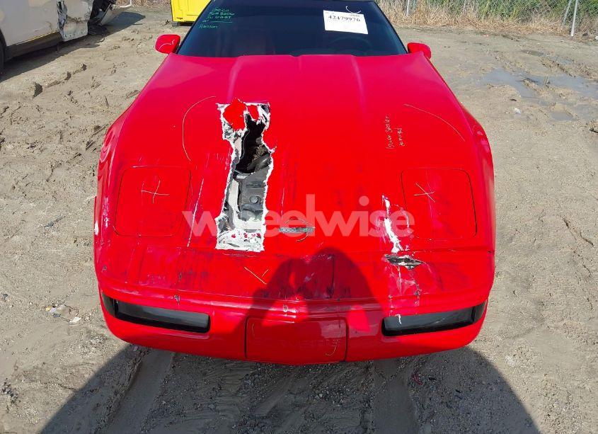 Photo 6 of 1993 Chevrolet Corvette (VIN 1G1YY23P8P5119386)