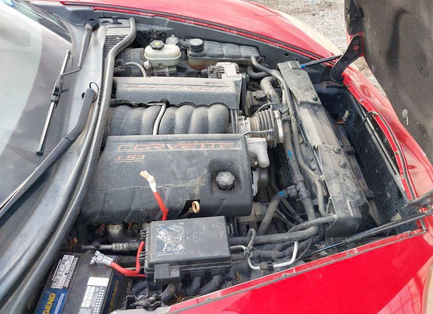 Photo 10 of 2009 Chevrolet Corvette (VIN 1G1YY26W395100671)