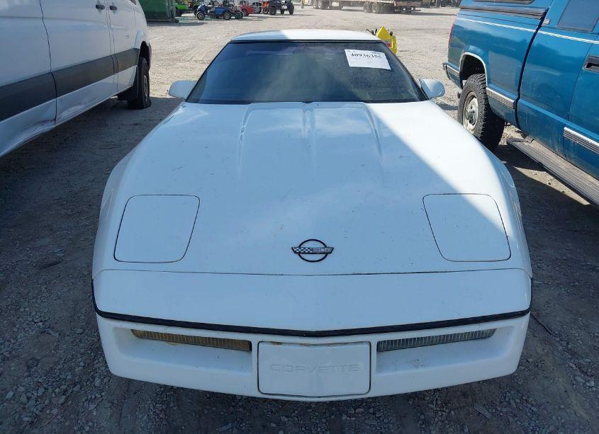 Photo 12 of 1989 Chevrolet Corvette (VIN 1G1YY3181K5125993)