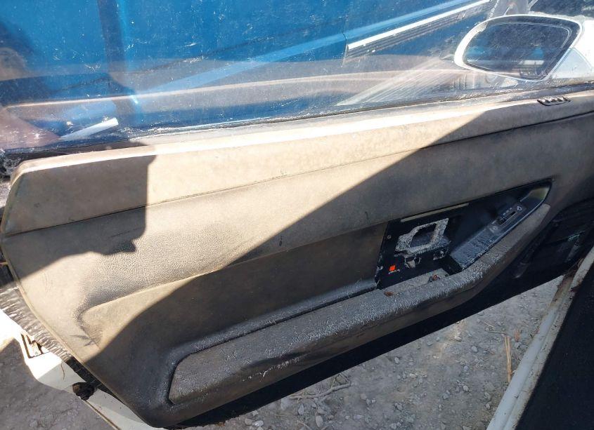 Photo 13 of 1989 Chevrolet Corvette (VIN 1G1YY3181K5125993)