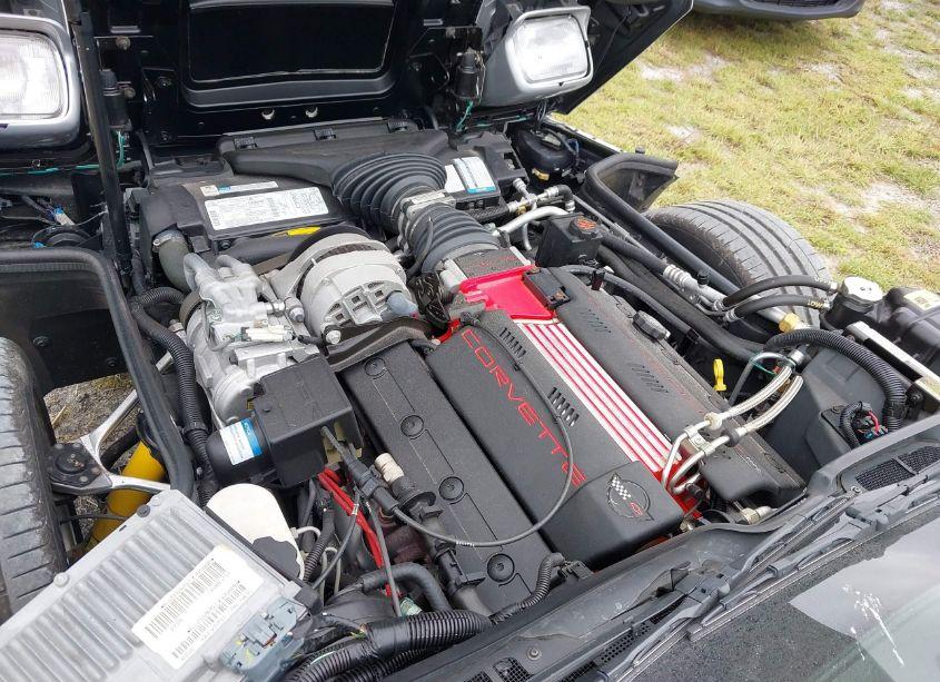 Photo 10 of 1996 Chevrolet Corvette N/A (VIN 1G1YY3256T5104577)