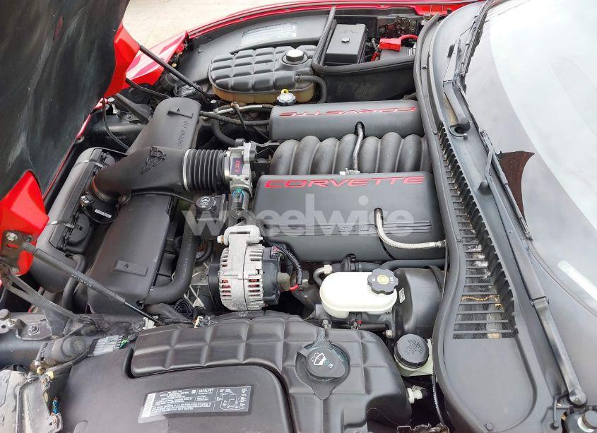 Photo 10 of 2004 Chevrolet Corvette N/A (VIN 1G1YY32G145105168)