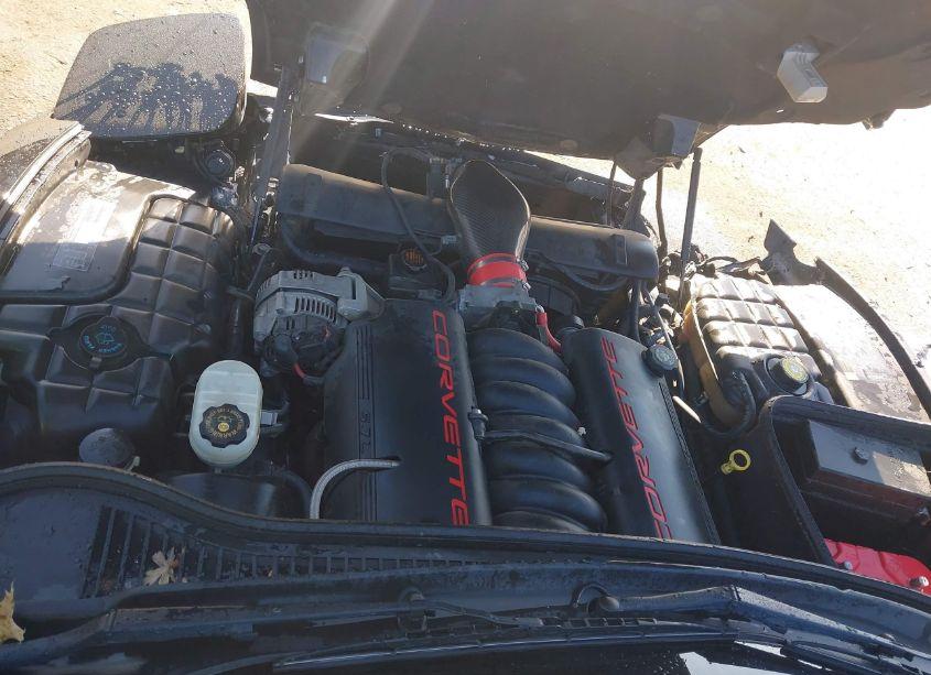 Photo 10 of 1999 Chevrolet Corvette (VIN 1G1YY32G2X5104342)