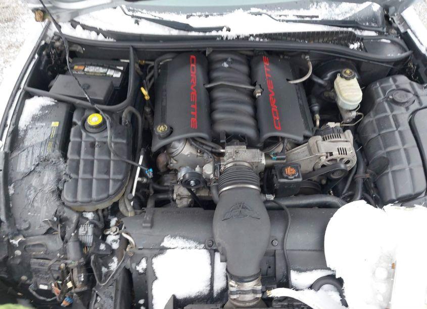 Photo 10 of 1999 Chevrolet Corvette (VIN 1G1YY32G3X5106388)