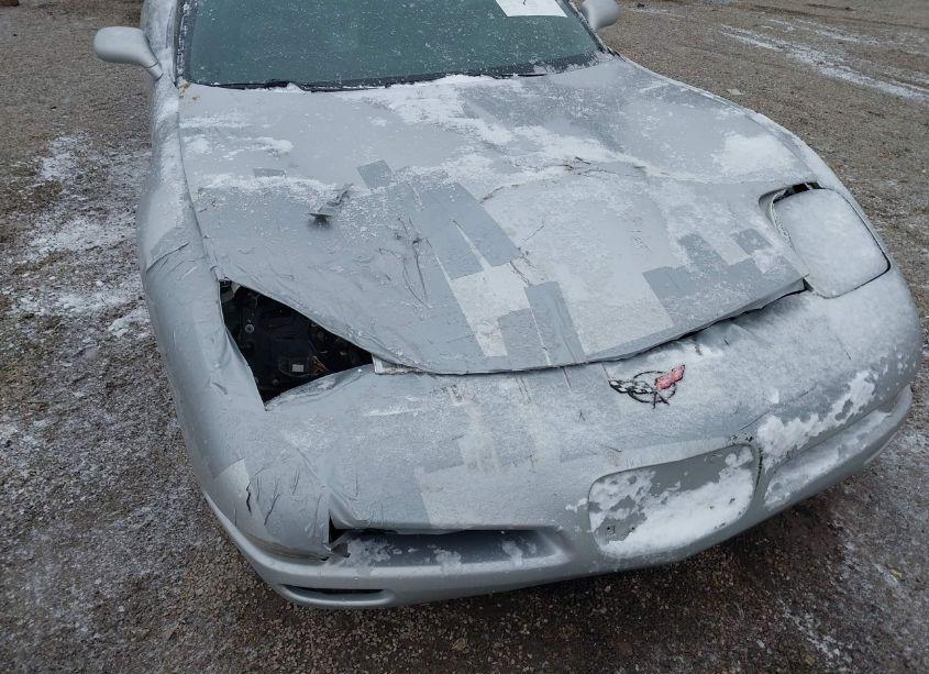 Photo 6 of 1999 Chevrolet Corvette (VIN 1G1YY32G3X5106388)