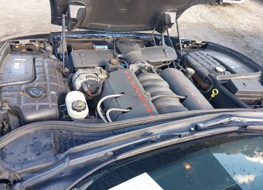 Photo 10 of 1998 Chevrolet Corvette (VIN 1G1YY32G7W5110104)