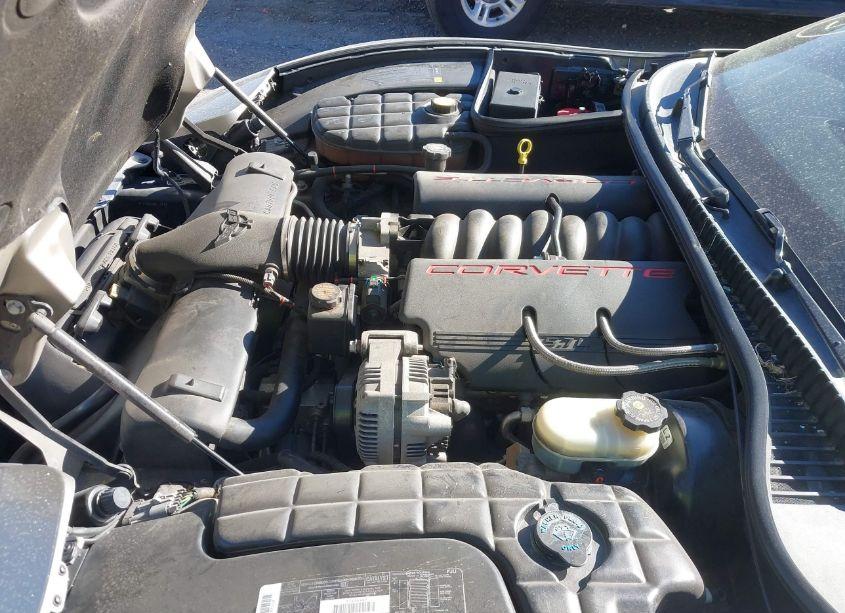 Photo 10 of 1998 Chevrolet Corvette (VIN 1G1YY32GXW5115975)