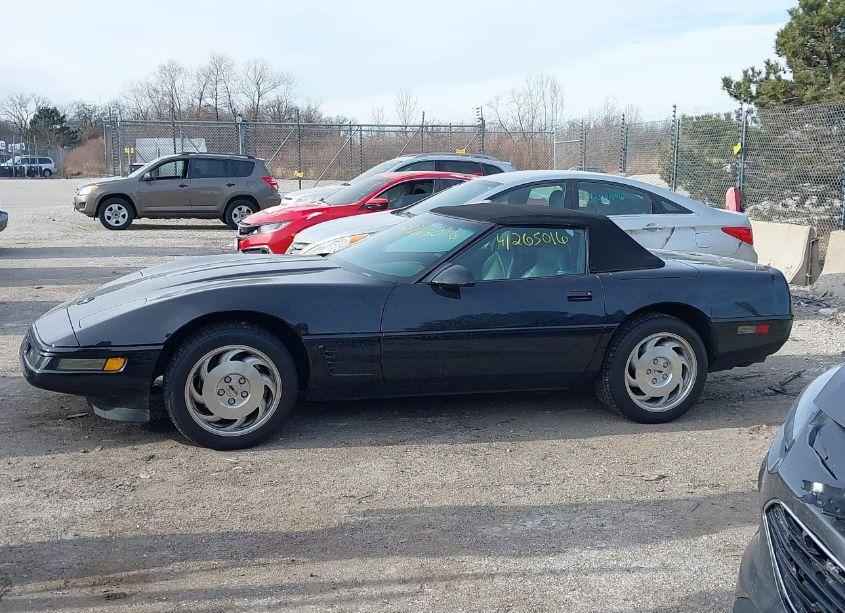 Photo 14 of 1995 Chevrolet Corvette (VIN 1G1YY32P7S5103664)