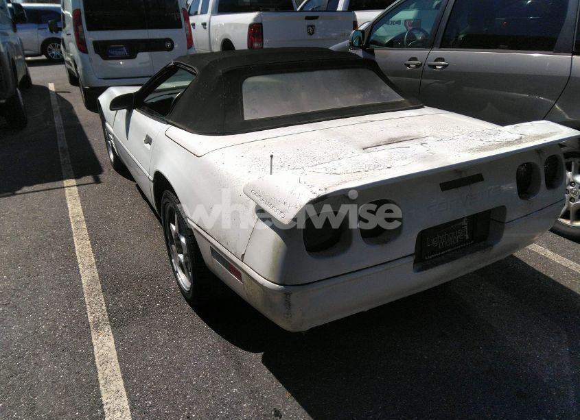 Photo 3 of 1991 Chevrolet Corvette (VIN 1G1YY338XM5114135)