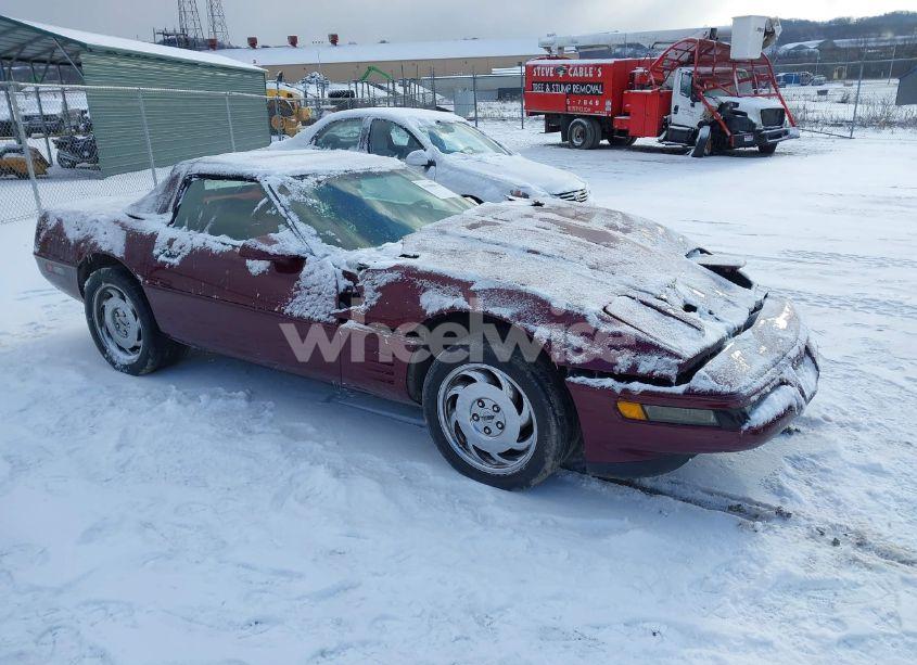 1993 Chevrolet Corvette (VIN 1G1YY33P4P5117205) main photo