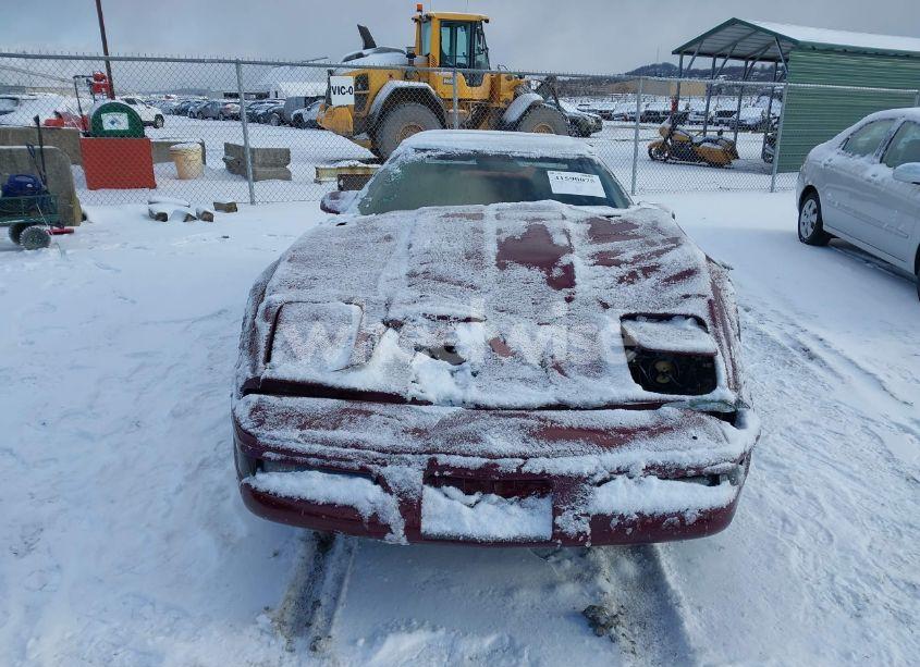 Photo 12 of 1993 Chevrolet Corvette (VIN 1G1YY33P4P5117205)