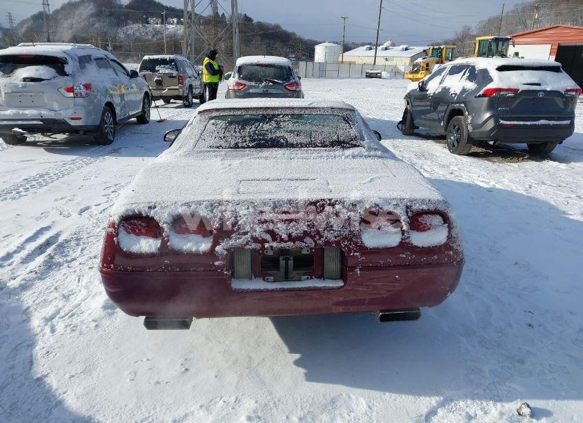 Photo 16 of 1993 Chevrolet Corvette (VIN 1G1YY33P4P5117205)