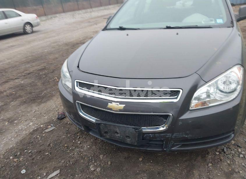 Photo 12 of 2012 Chevrolet Malibu LS (VIN 1G1ZB5E06CF363274)
