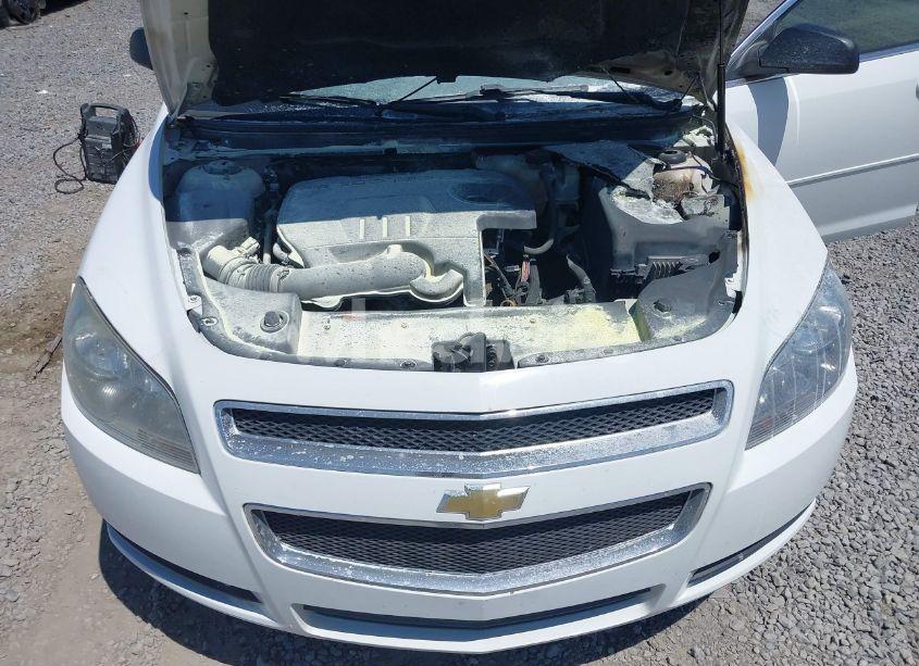 Photo 6 of 2011 Chevrolet Malibu LS (VIN 1G1ZB5E10BF185465)