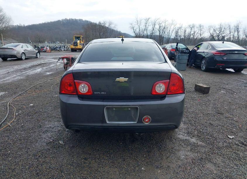 Photo 16 of 2010 Chevrolet Malibu LS (VIN 1G1ZB5EBXAF259269)