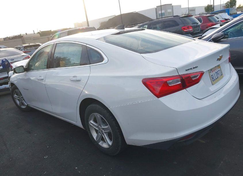 Photo 14 of 2019 Chevrolet Malibu 1LS (VIN 1G1ZB5ST0KF219247)