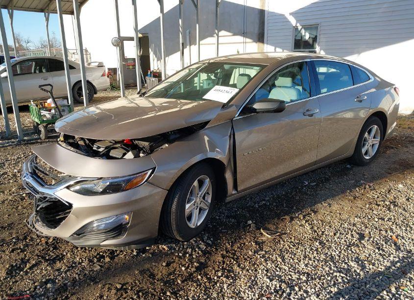 Photo 2 of 2023 Chevrolet Malibu FWD LS (VIN 1G1ZB5ST0PF247606)
