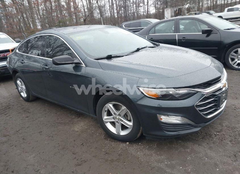 2019 Chevrolet Malibu 1LS (VIN 1G1ZB5ST1KF224943) main photo