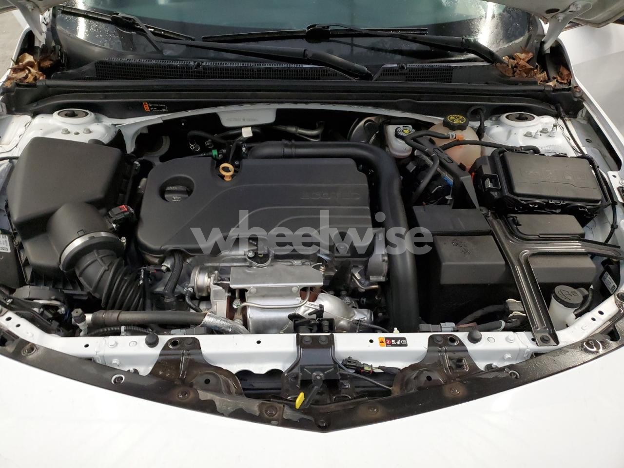 Photo 11 of 2021 CHEVROLET MALIBU LS N/A (VIN 1G1ZB5ST1MF083956)