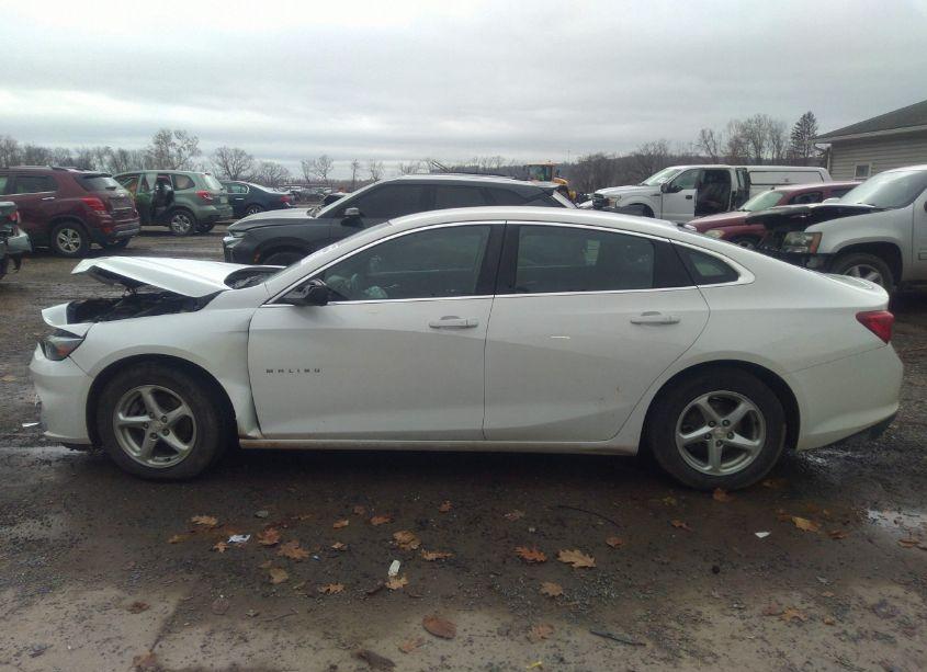 Photo 14 of 2016 Chevrolet Malibu LS (VIN 1G1ZB5ST2GF224456)