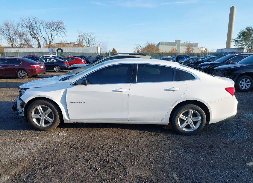 Photo 14 of 2019 Chevrolet Malibu 1LS (VIN 1G1ZB5ST2KF125452)