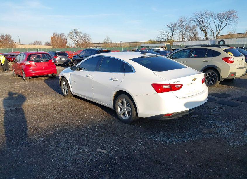 Photo 3 of 2019 Chevrolet Malibu 1LS (VIN 1G1ZB5ST2KF125452)