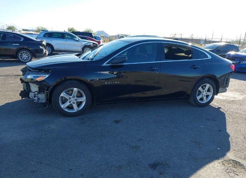 Photo 15 of 2019 Chevrolet Malibu 1LS (VIN 1G1ZB5ST3KF121202)