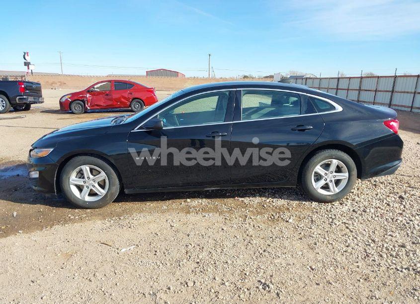 Photo 14 of 2019 Chevrolet Malibu 1LS (VIN 1G1ZB5ST3KF223826)