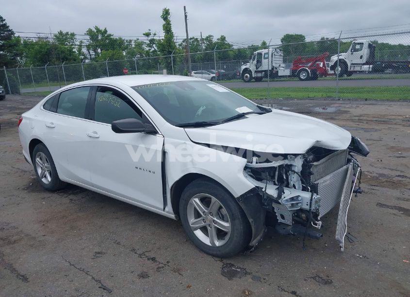 2023 Chevrolet Malibu FWD LS (VIN 1G1ZB5ST4PF115593) main photo