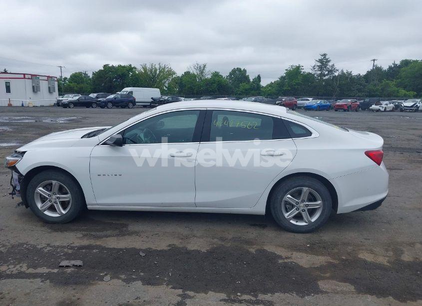 Photo 14 of 2023 Chevrolet Malibu FWD LS (VIN 1G1ZB5ST4PF115593)