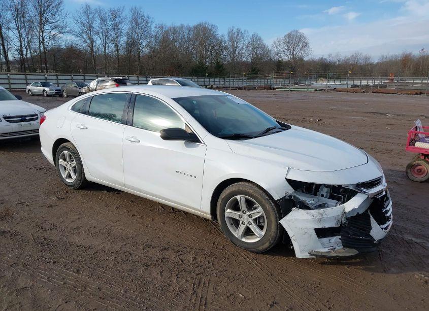 2019 Chevrolet Malibu 1LS (VIN 1G1ZB5ST6KF192958) main photo