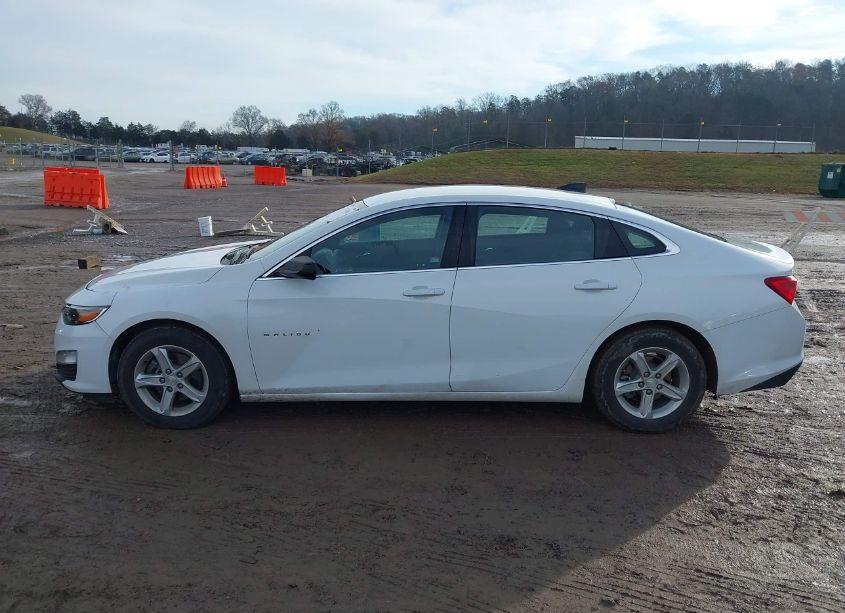 Photo 14 of 2019 Chevrolet Malibu 1LS (VIN 1G1ZB5ST6KF192958)