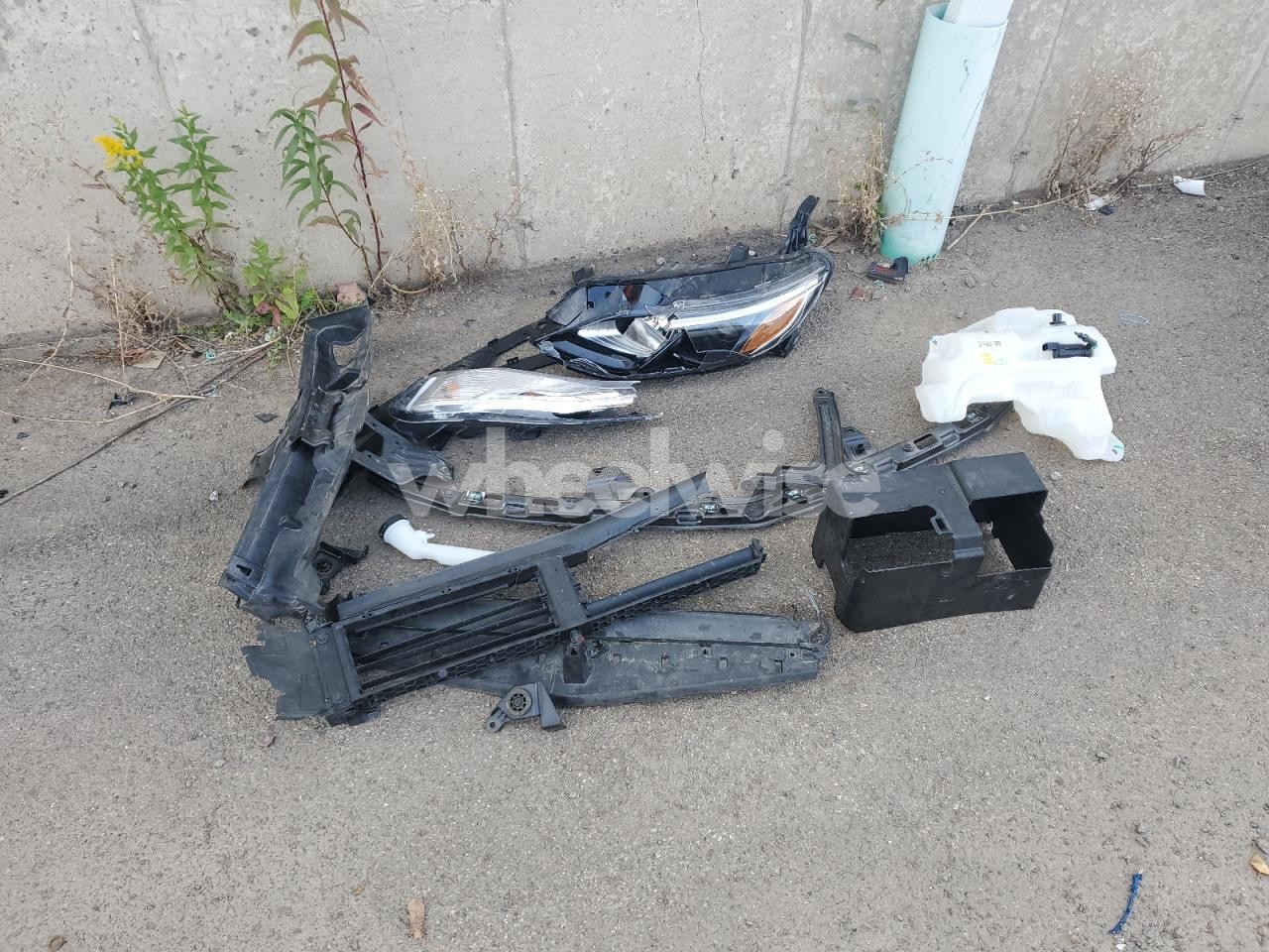 Photo 12 of 2024 CHEVROLET MALIBU LS (VIN 1G1ZB5ST6RF194669)