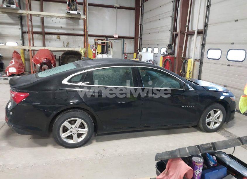 Photo 13 of 2019 Chevrolet Malibu 1LS (VIN 1G1ZB5ST7KF213820)