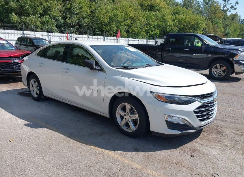 2019 Chevrolet Malibu 1LS (VIN 1G1ZB5ST7KF224638) main photo